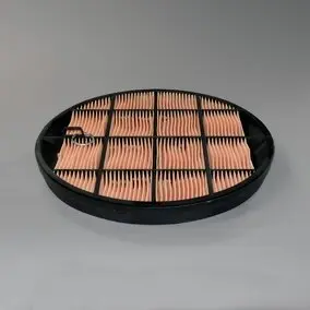 Air filter, by-pass. Фильтр воздушный, запасный DONALDSON P631511