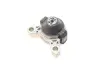 Подушка двигуна (R) Ford Connect 02- DP B 4003 (фото 7)