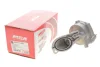 Насос вакуумний Ford Connect 1.8TDCi 02- DP BS93101MGA (фото 2)