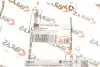 Патрубок радіатора Ford Transit 2.2 TDCi 06- (теплообмінника) DP CS 22040 IBR (фото 7)
