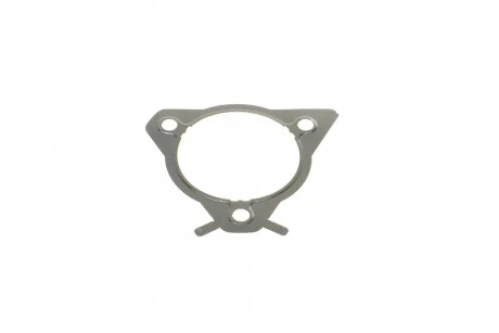 Прокладка насосу паливного Ford Connect 1.8Di/TDCI 02- DP ES21417ARI