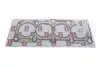 Прокладка ГБЦ металева Skoda Octavia 2,0L (05-13)/VW Golf (04-09), Passat (05-10) / Audi A4 (04-08) VIKA DPA 11031391501 (фото 1)