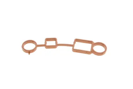 Прокладка кришки ГРМ Audi A3/Seat Leon/Toledo 08- DPA 11031792601