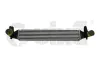 Радіатор інтеркулера Skoda Fabia (11-15)/VW Polo (10-)Seat Ibiza (16-) VIKA DPA 11451418001 (фото 1)