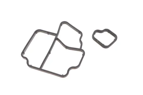 Прокладка корпуса фільтра масляного VW Caddy III/Crafter/T5 1.6TDI/2.0TDI 10- (к-кт) DPA 11981631601