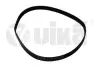Ремінь поліклінової 6PK1042 Skoda Octavia (04-08, 09-) / VW Golf (04-), Jetta (06-10), Passat (06-11) / Audi (A3 04-) VIKA DPA 22600870701 (фото 1)
