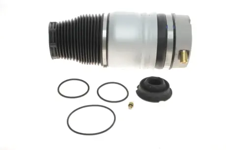 Подушка пневмопідвіски (спереду) Audi Q7/Porsche Cayenne/VW Touareg 02-15 (R) DPA 46160001701