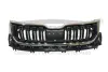 Решітка радіатора Skoda Kodiaq 16-21 DPA 88531819202 (фото 1)