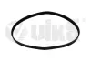 Ремінь поліклінової 6PK1080 Skoda Fabia (00-10,11-),Octavia (97-11)/VW Caddy (97-01),Golf (03-07),Polo (02-) VIKA DPA 91450860301 (фото 1)