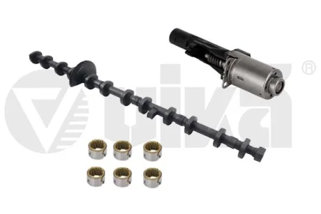 Ексцентриковий вал N55 BMW комплект DPA K11054301