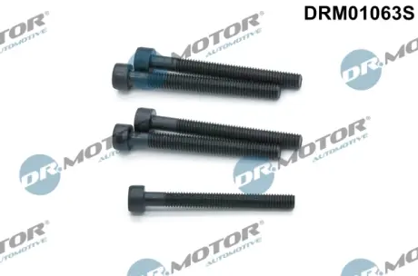 Комплект болтів з головкою системи TORX з чорного металу DR MOTOR AUTOMOTIVE DRM01063S