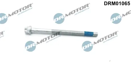 Болт з головкою системи TORX з чорного металу DR MOTOR AUTOMOTIVE DRM01065