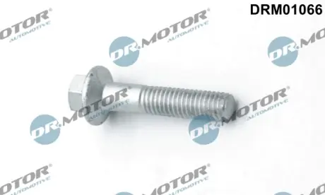 Болт з шестигранним шліцом з чорного металу DR MOTOR AUTOMOTIVE DRM01066