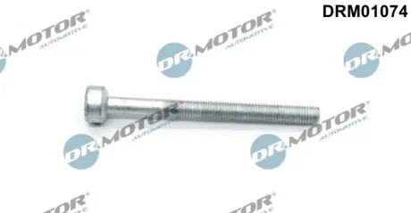 Болт з головкою системи TORX з чорного металу DR MOTOR AUTOMOTIVE DRM01074