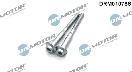 Комплект болтів з головкою системи TORX з чорного металу DR MOTOR AUTOMOTIVE DRM01076S