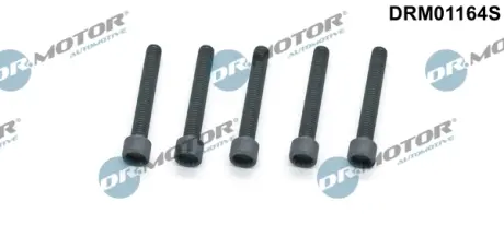 Комплект болтів з головкою системи TORX з чорного металу DR MOTOR AUTOMOTIVE DRM01164S