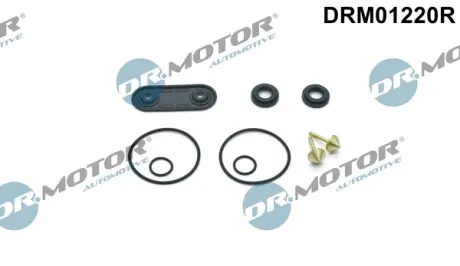 Комплект прокладок з різних матеріалів DR MOTOR AUTOMOTIVE DRM01220R