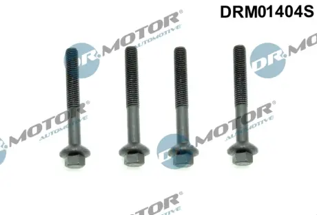 Комплект болтів двигуна з шестигранною головкою DR MOTOR AUTOMOTIVE DRM01404S