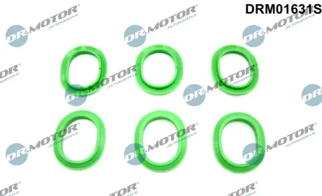 Комплект прокладок гумових DR MOTOR AUTOMOTIVE DRM01631S