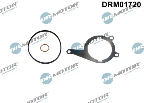 Комплект прокладок з різних матеріалів DR MOTOR AUTOMOTIVE DRM01720