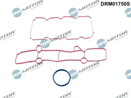 Комплект прокладок гумових DR MOTOR AUTOMOTIVE DRM01750S