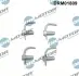 Форсунка масляна DR MOTOR AUTOMOTIVE DRM01809 (фото 1)