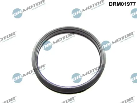 Кільце гумове DR MOTOR AUTOMOTIVE DRM01977