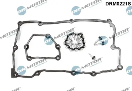 Комплект прокладок з різних матеріалів DR MOTOR AUTOMOTIVE DRM0221S