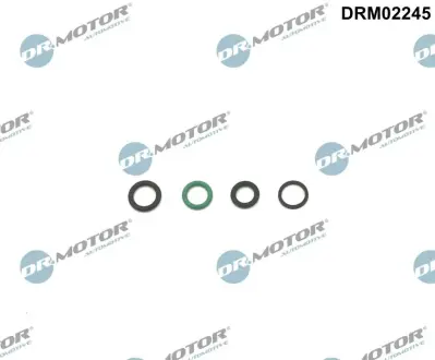 Комплект ущільнювачів з різних матеріалів DR MOTOR AUTOMOTIVE DRM02245