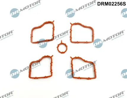 Комплект прокладок гумових DR MOTOR AUTOMOTIVE DRM02256S