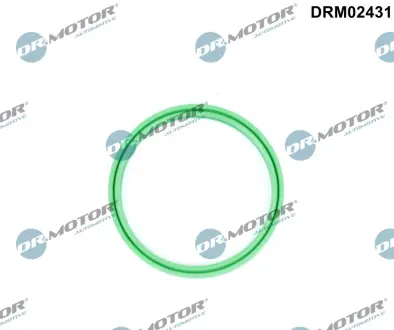 Кільце гумове DR MOTOR AUTOMOTIVE DRM02431