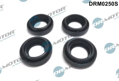 Комплект прокладок гумових DR MOTOR AUTOMOTIVE DRM0250S
