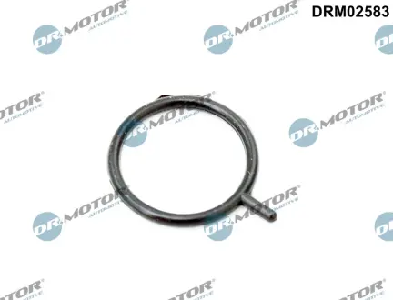 Кільце гумове DR MOTOR AUTOMOTIVE DRM02583