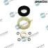 Ремкомплект форсунки DR MOTOR AUTOMOTIVE DRM0268 (фото 1)