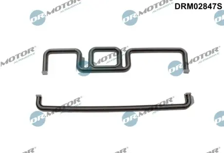 Комплект прокладок гумових DR MOTOR AUTOMOTIVE DRM02847S