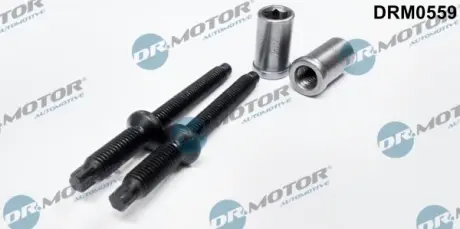 Комплект болтів з головкою системи TORX з чорного металу в наборі з гайками DR MOTOR AUTOMOTIVE DRM0559