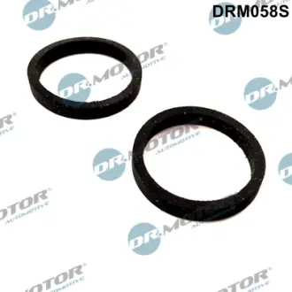 Комплект прокладок гумових DR MOTOR AUTOMOTIVE DRM058S