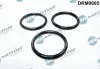 Кільце гумове DR MOTOR AUTOMOTIVE DRM0605 (фото 1)