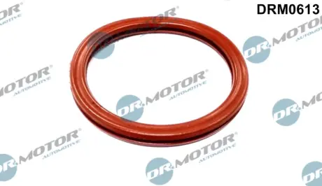 Прокладка гумова DR MOTOR AUTOMOTIVE DRM0613