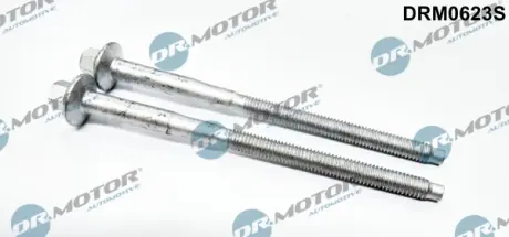 Комплект болтів з шестигранною головкою з чорного металу DR MOTOR AUTOMOTIVE DRM0623S