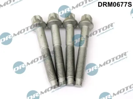 Комплект болтів з головкою системи TORX з чорного металу DR MOTOR AUTOMOTIVE DRM0677S