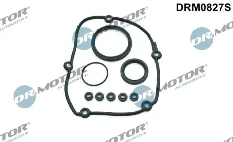 Комплект прокладок з різних матеріалів DR MOTOR AUTOMOTIVE DRM0827S