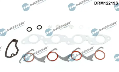 Комплект прокладок з різних матеріалів DR MOTOR AUTOMOTIVE DRM12219S