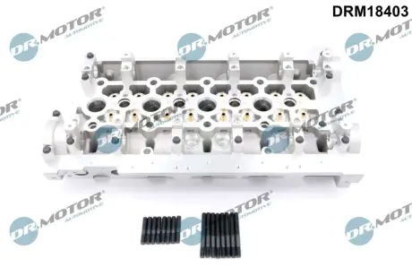Головка блока DR MOTOR AUTOMOTIVE DRM18403