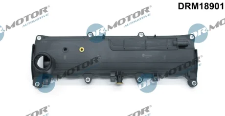 Кришка головки блоку циліндрів ДВЗ DR MOTOR AUTOMOTIVE DRM18901