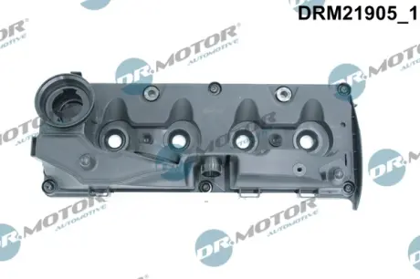 Кришка головки блоку циліндрів ДВЗ DR MOTOR AUTOMOTIVE DRM21905