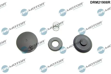 Комплект прокладок з різних матеріалів DR MOTOR AUTOMOTIVE DRM21908R
