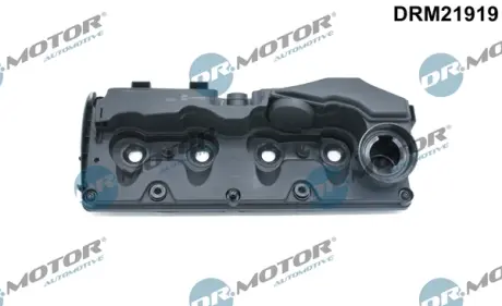 Кришка головки блоку циліндрів ДВЗ DR MOTOR AUTOMOTIVE DRM21919