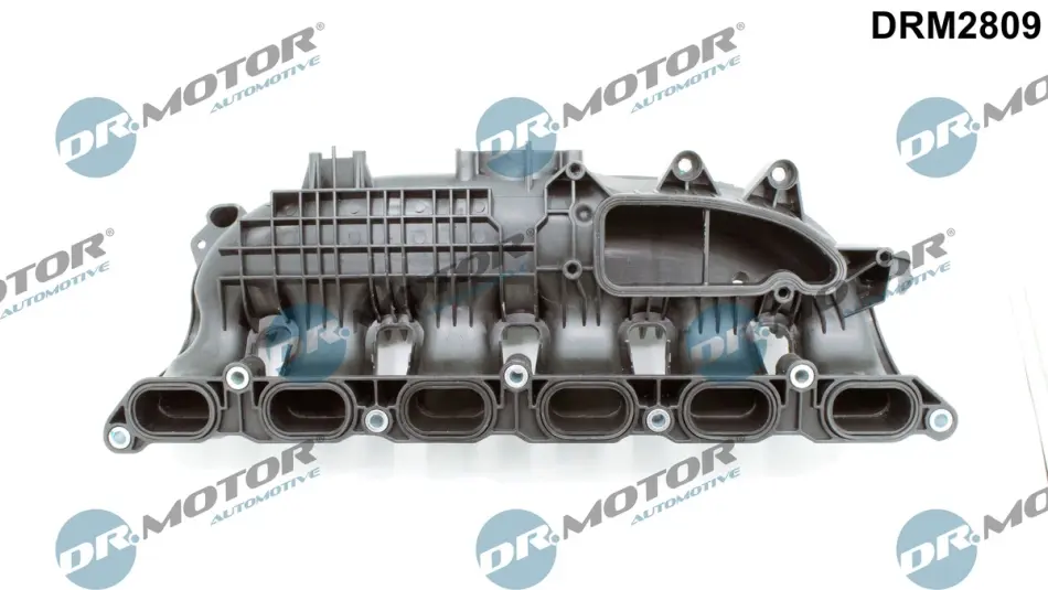 Колектор впускний DR MOTOR AUTOMOTIVE DRM2809 (фото 1)