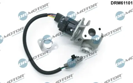 Клапан рециркуляції газів DR MOTOR AUTOMOTIVE DRM61101